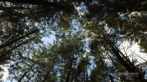 výběr materiálu sauna
