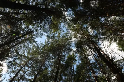 výběr materiálu sauna výběr materiálu sauna